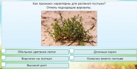 Интерактивные курсы. Окружающий мир 3 класс . Базовый. - fgospostavki.ru - Апатиты