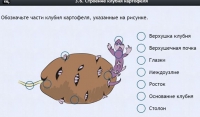 Интерактивные курсы. Биология 6 класс. Расширенный - fgospostavki.ru - Апатиты
