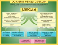 Стенд "Методы селекции и биотехнологии" - fgospostavki.ru - Апатиты