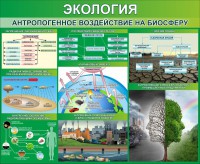 Стенд "Экология. Антропогенное воздействие на биосферу" - fgospostavki.ru - Апатиты