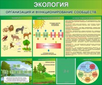 Стенд "Экология. Организация и функционирование сообществ" - fgospostavki.ru - Апатиты