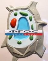 Модель барельефная "Растительная клетка" - fgospostavki.ru - Апатиты