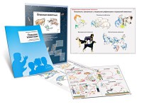 Комплект кодотранспарантов "Опасные животные" - fgospostavki.ru - Апатиты