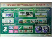Электрифицированный стенд "Уровни организации жизни" - fgospostavki.ru - Апатиты