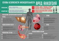 Стенд "Алкоголь" - fgospostavki.ru - Апатиты