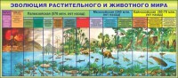 Стенд "Эволюция растительного и животного мира" - fgospostavki.ru - Апатиты