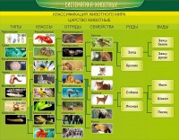 Стенд "Систематика животных" - fgospostavki.ru - Апатиты