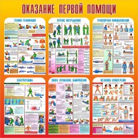 Стенд "Оказание первой помощи" - fgospostavki.ru - Апатиты