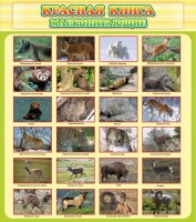 Стенд "Красная книга - млекопитающие" - fgospostavki.ru - Апатиты