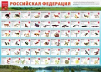 Стенд "Красная книга РФ" - fgospostavki.ru - Апатиты