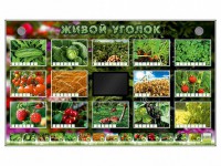 Комплект оборудования "Живой уголок" (растения) - fgospostavki.ru - Апатиты
