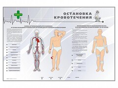 Электрифицированный стенд "Остановка кровотечения" - fgospostavki.ru - Апатиты