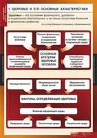 Комплект таблиц. ОБЖ. Здоровый образ жизни. - fgospostavki.ru - Апатиты