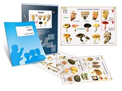 Комплект кодотранспарантов "Грибы" - fgospostavki.ru - Апатиты