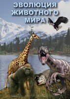 DVD "Эволюция животного мира" - fgospostavki.ru - Апатиты