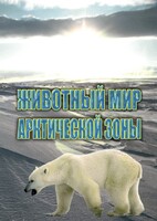 DVD "Животный мир Арктической зоны" - fgospostavki.ru - Апатиты