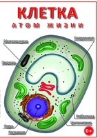 DVD "Клетка - "атом жизни" - fgospostavki.ru - Апатиты