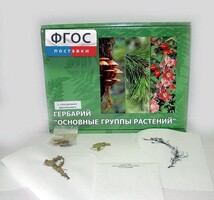 Гербарий "Основные группы растений" (52 листа) - fgospostavki.ru - Апатиты