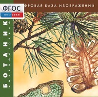 Ботаника. Микрофотографии. (Цифровая база изображений) - fgospostavki.ru - Апатиты