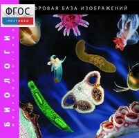 Биология. Микрофотографии. (Цифровая база изображений) - fgospostavki.ru - Апатиты