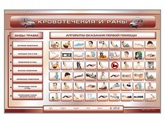 Трехсекционный базовый комплект "Травмы. Кровотечения. Ожоги" для учащихся общеобразовательных учреждений - fgospostavki.ru - Апатиты
