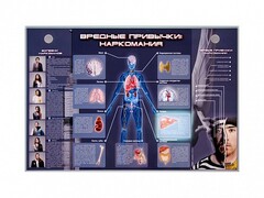 Электрифицированный стенд "Вредные привычки: наркомания" - fgospostavki.ru - Апатиты