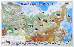 Магнитные карточки "Животные" - fgospostavki.ru - Апатиты