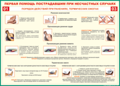 Таблица "Порядок действий при ранениях и термических ожогах" (100х140 сантиметров, винил) - fgospostavki.ru - Апатиты