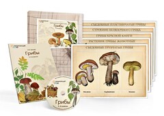 Комбинированное наглядное пособие  «Грибы» - fgospostavki.ru - Апатиты