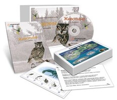 Комбинированное наглядное пособие «Животные» - fgospostavki.ru - Апатиты