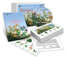 Комбинированное наглядное пособие «Растения» - fgospostavki.ru - Апатиты