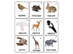 Набор магнитных карточек по музыке "Животные" (9 штук) - fgospostavki.ru - Апатиты