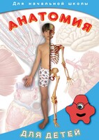 DVD "Анатомия для детей" - fgospostavki.ru - Апатиты