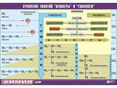 Таблица демонстрационная "Сравнение понятий изомер и гомолог" (винил 70x100) - fgospostavki.ru - Апатиты