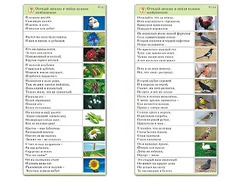 Комплект карточек (10) "Обучающий калейдоскоп. Природа" - fgospostavki.ru - Апатиты