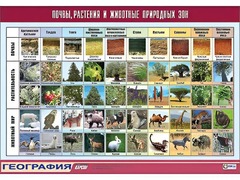 Таблица демонстрационная "Почвы, растения и животные природных зон" (винил 100*140) - fgospostavki.ru - Апатиты
