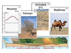 Модель-аппликация "Природные зоны" - fgospostavki.ru - Апатиты