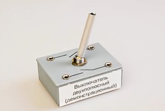 Выключатель двухполюсный (демонстрационный) - fgospostavki.ru - Апатиты