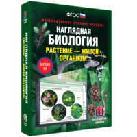 Наглядная биология. Растение - живой организм - fgospostavki.ru - Апатиты