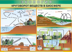 Таблица "Круговорот веществ в биосфере" (100х140 сантиметров, винил) - fgospostavki.ru - Апатиты