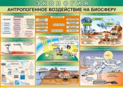 Таблица "Антропогенное воздействие на биосферу" (100х140 сантиметров, винил) - fgospostavki.ru - Апатиты