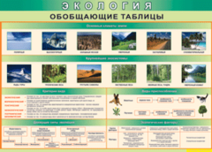 Таблица "Экология. Обобщающие таблицы" (100х140 сантиметров, винил) - fgospostavki.ru - Апатиты