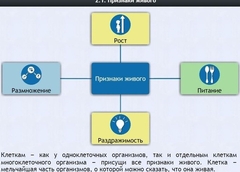 Интерактивные курсы. Биология 5 класс. Базовый - fgospostavki.ru - Апатиты