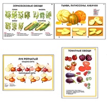 Плакаты ПРОФТЕХ "Ассортимент овощных культур" (12 пл, винил, 70х100) - fgospostavki.ru - Апатиты