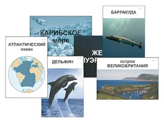 Модель-аппликация "Океаны. Знакомство" (ламинированная) - fgospostavki.ru - Апатиты