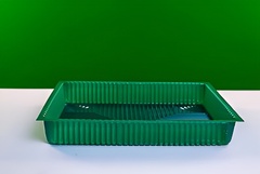 Лоток раздаточный лабораторный 250х150х45 - fgospostavki.ru - Апатиты