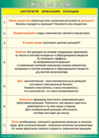 Таблица "Алгоритм описания реакции" (100х140 сантиметров, винил) - fgospostavki.ru - Апатиты
