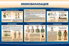 Стенд "Иммобилизация" - fgospostavki.ru - Апатиты