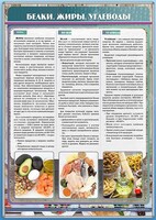 Стенд "Белки. Жиры. Углеводы" - fgospostavki.ru - Апатиты