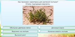 Интерактивные курсы. Окружающий мир 3 класс . Базовый. - fgospostavki.ru - Апатиты